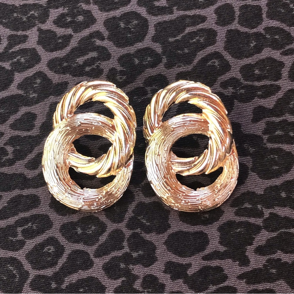 Double hoop dangling earrings. Costume jewelry. Great pair of stylish earrings!